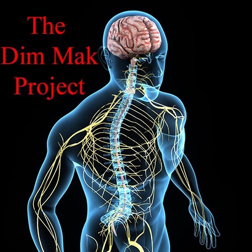 Dim Mak Project Video Course - Stage 2 of the Dim Mak Project