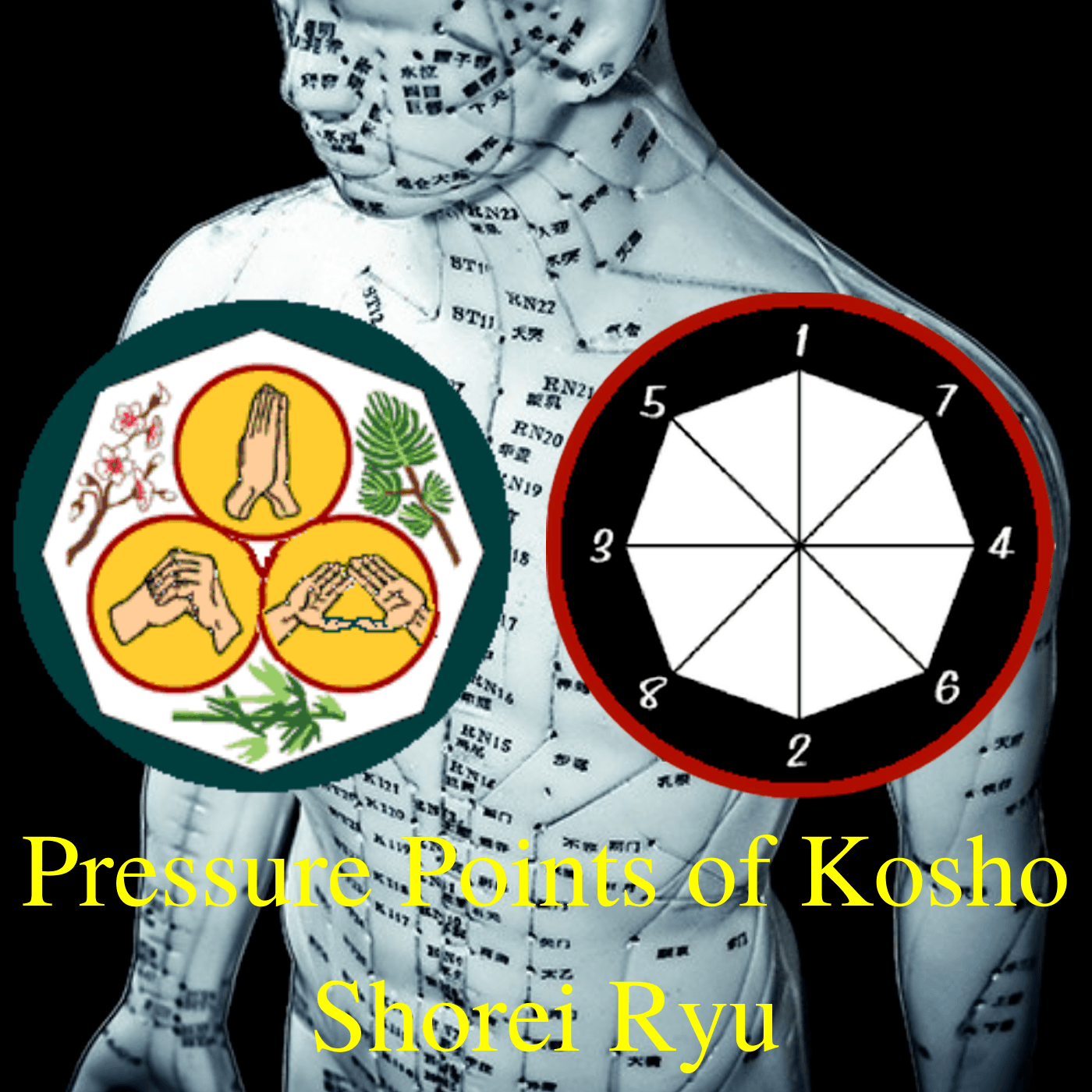 Pressure Points of Kosho Shorei Ryu Video Course