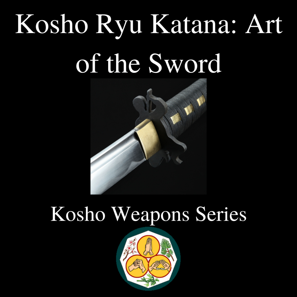 * Kosho Ryu Katana Art of the Sword