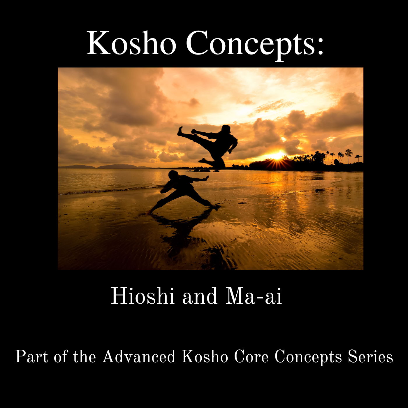 * Kosho Concepts: Hioshi and Ma-ai