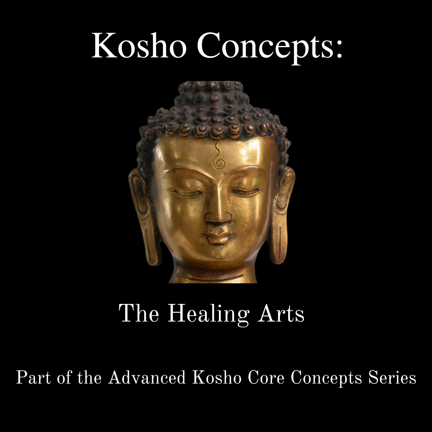 * Kosho Concepts: The Healing Arts