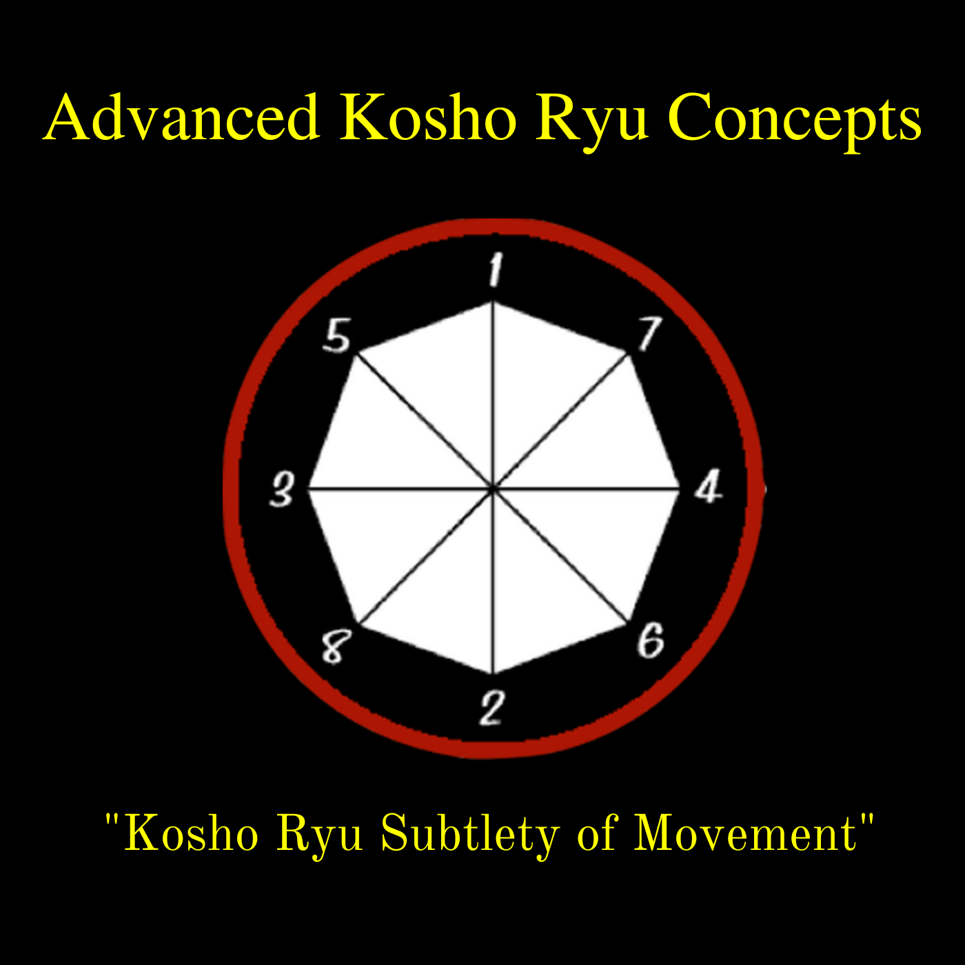 Kosho Ryu Subtlety of Movement