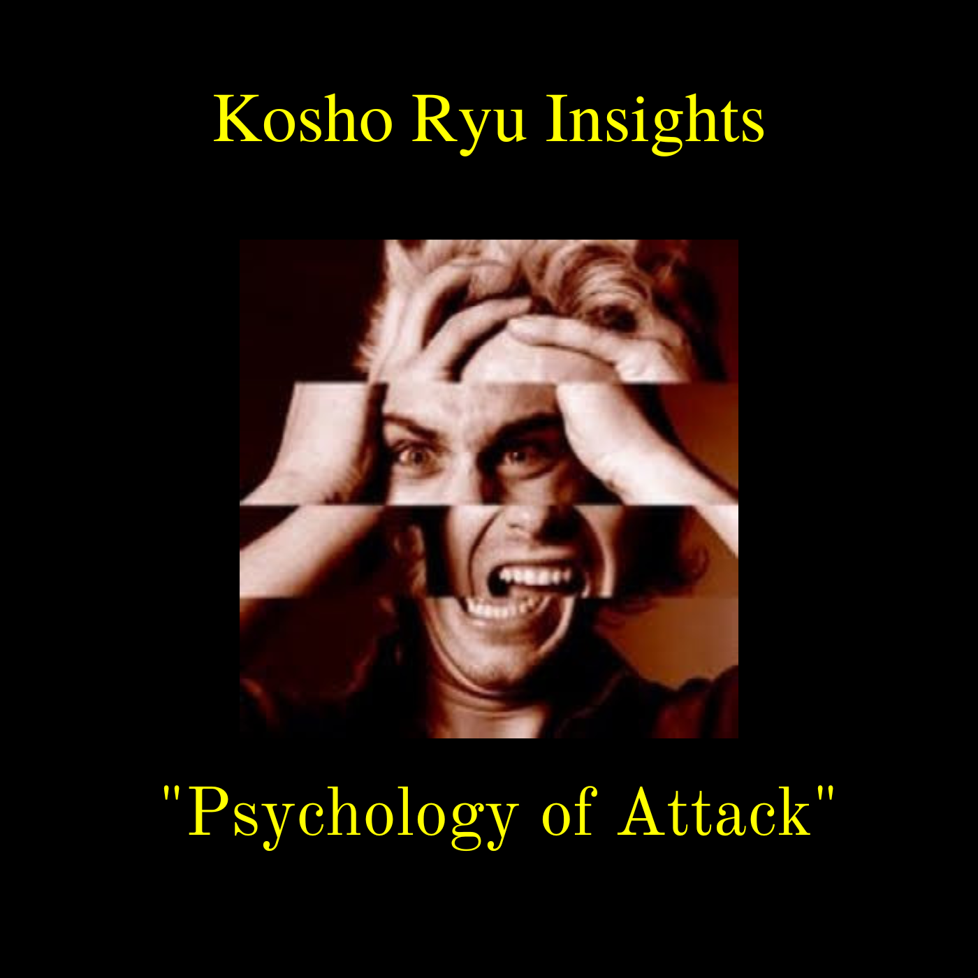 Kosho Ry Insights - Pyschology of Attack