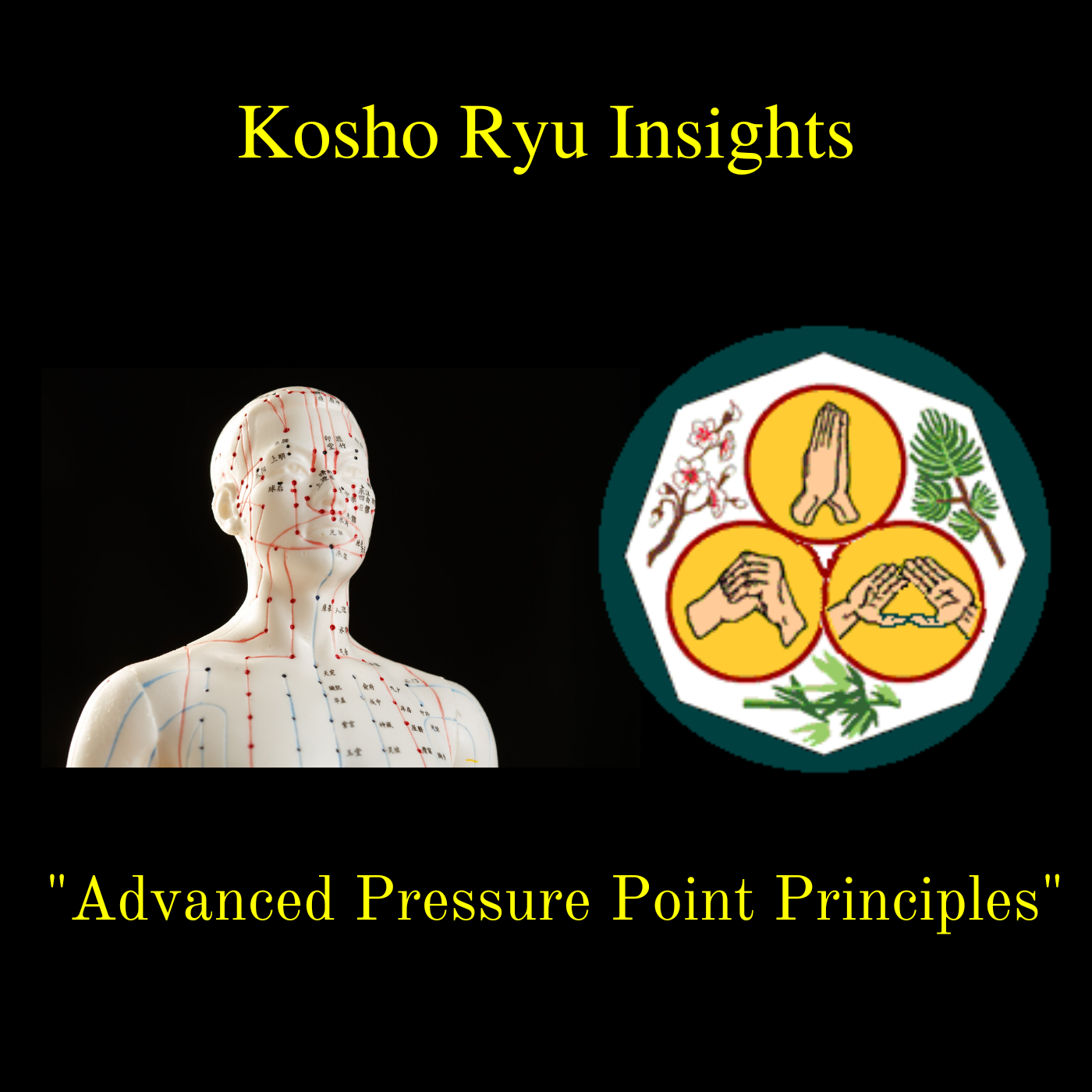 Kosho Ryu Insights Advanced Pressure Point Principles