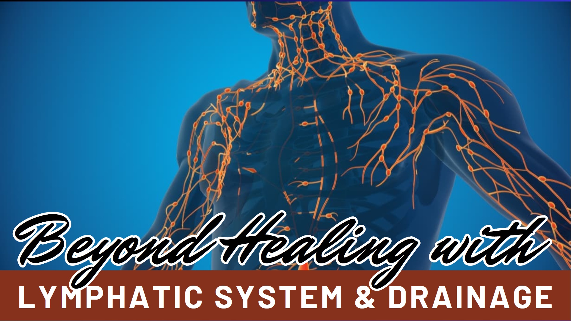 The Great Lymphatic System
